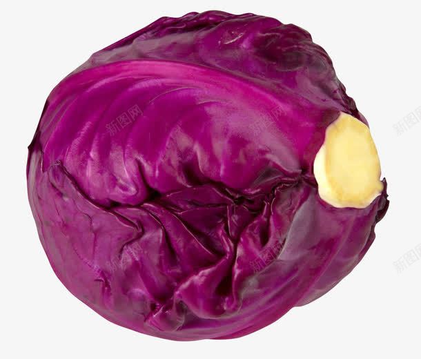 紫甘蓝png免抠素材_新图网 https://ixintu.com 免抠 实物 新鲜 紫包菜 紫甘蓝 蔬菜