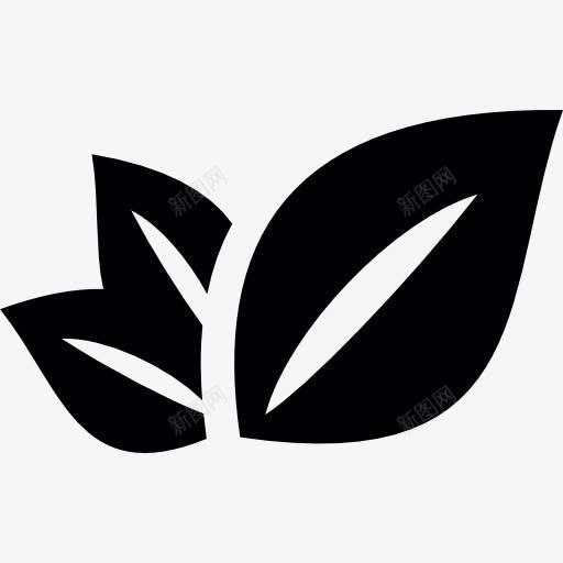 三植物叶片图标png_新图网 https://ixintu.com 一拖三 叶 性质 树叶 植物叶 沙拉