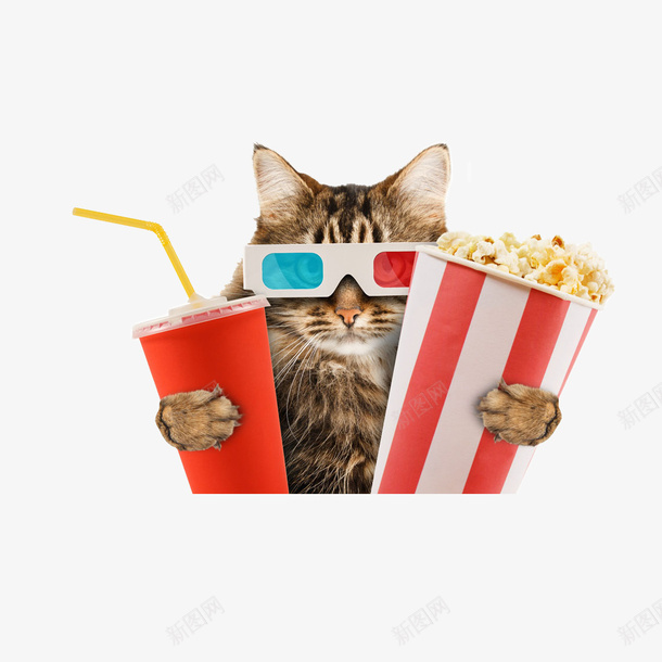 看电影的猫png免抠素材_新图网 https://ixintu.com 可乐 带3D眼镜的猫 幽默谐趣 戴眼镜的猫 拟人化 爆米花 猫