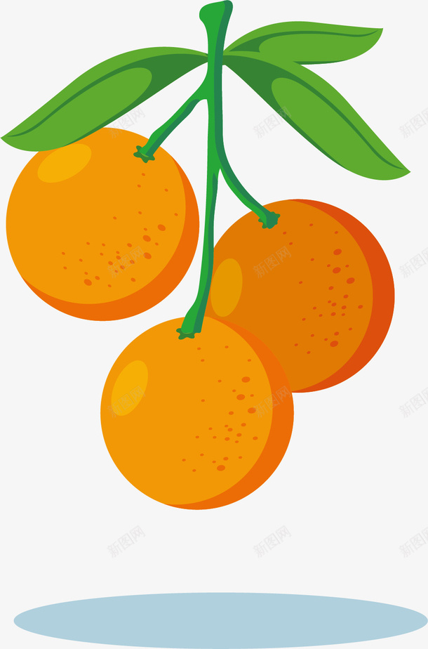 一串卡通柑橘果实png免抠素材_新图网 https://ixintu.com 一串 一串水果 卡通柑橘 果实 柑橘果实 柑橘橘子