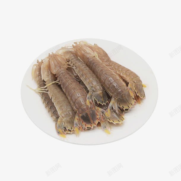 美味皮皮虾png免抠素材_新图网 https://ixintu.com 海鲜食品 澳洲龙虾 皮皮虾 美味虾子 虾子设计 麻辣虾 龙虾设计