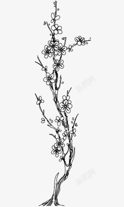 黑白线描装饰画一棵挺拔的梅花树简笔画高清图片