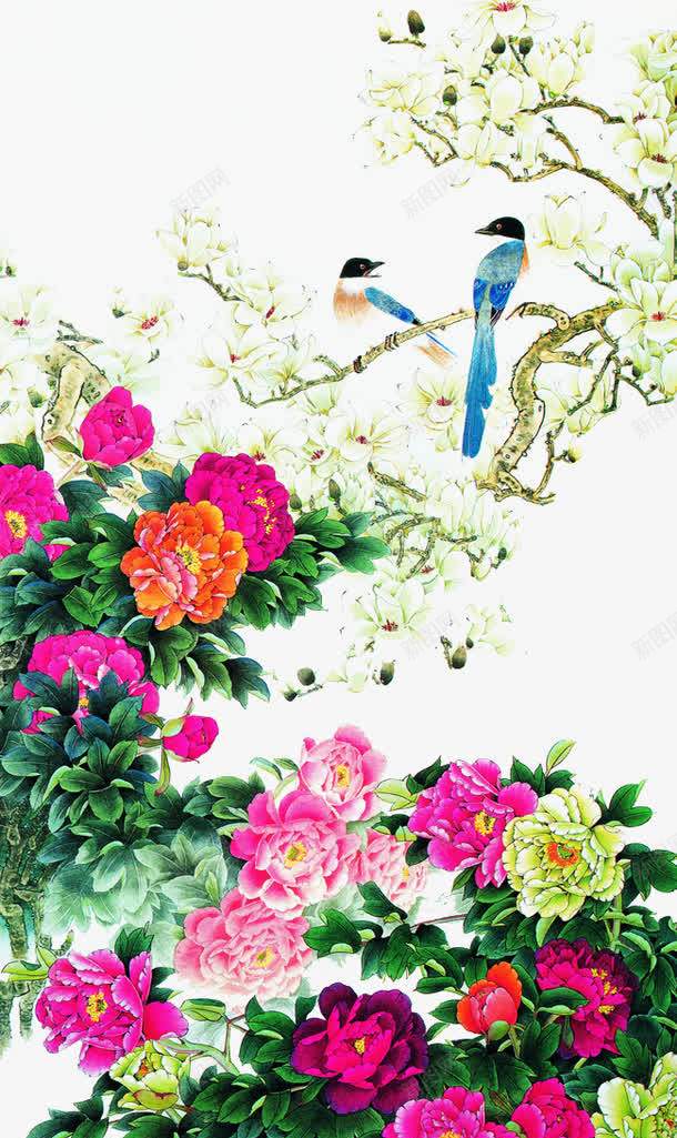 花鸟图png免抠素材_新图网 https://ixintu.com 传统文化 喜鹊 国画 工笔画 文化艺术 牡丹 花鸟 设计