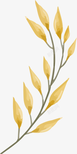 草枝黄色水彩美丽树枝高清图片