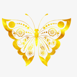 金色剪影的金色炫彩蝴蝶花纹图高清图片
