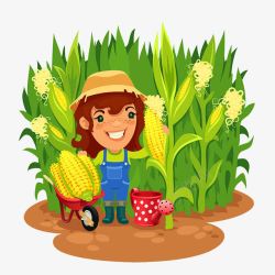 农田里掰玉米的农村妇女素材
