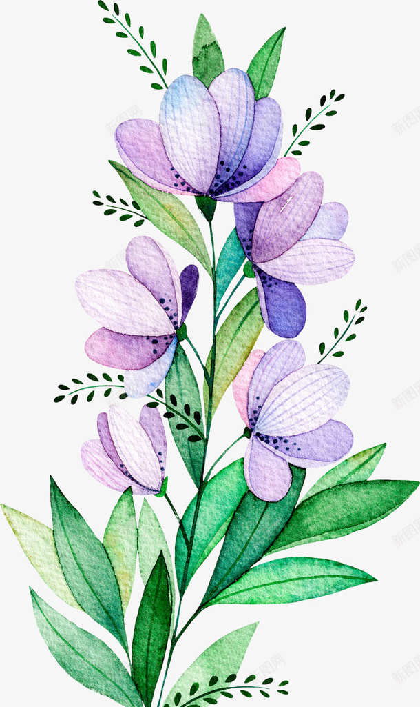 水彩紫色植物花卉png免抠素材_新图网 https://ixintu.com 包装设计 小清新包装 紫色花朵 花朵装饰 花草设计 贺卡设计
