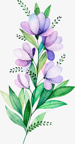 水彩紫色植物花卉素材