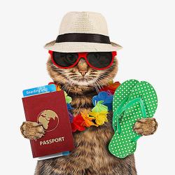 护照矢量图猫科动物高清图片