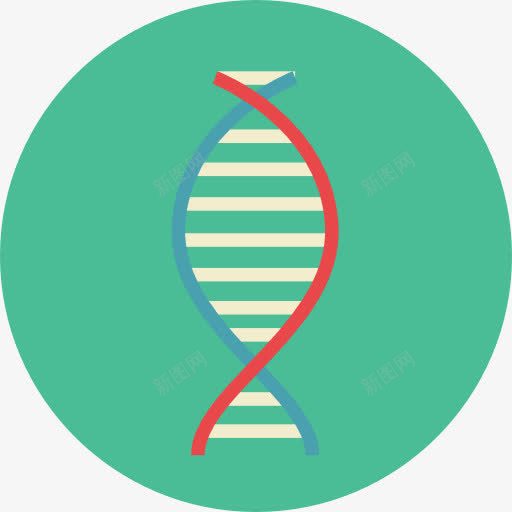 DNA图标png_新图网 https://ixintu.com DNA DNA双螺旋结构图片 DNA结构 医学 医疗保健和医疗 教育 生物学 科学 脱氧核糖核酸 遗传