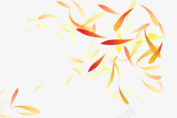 雏菊黄色飘落的花瓣装饰图高清图片