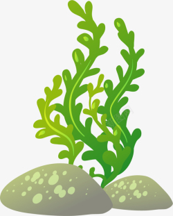 世界海洋日绿色海藻素材