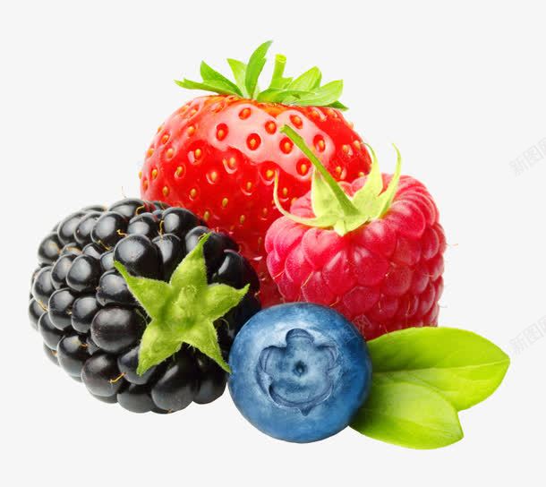 植物海报夏天水果蓝莓png免抠素材_新图网 https://ixintu.com 夏天 植物 水果 海报