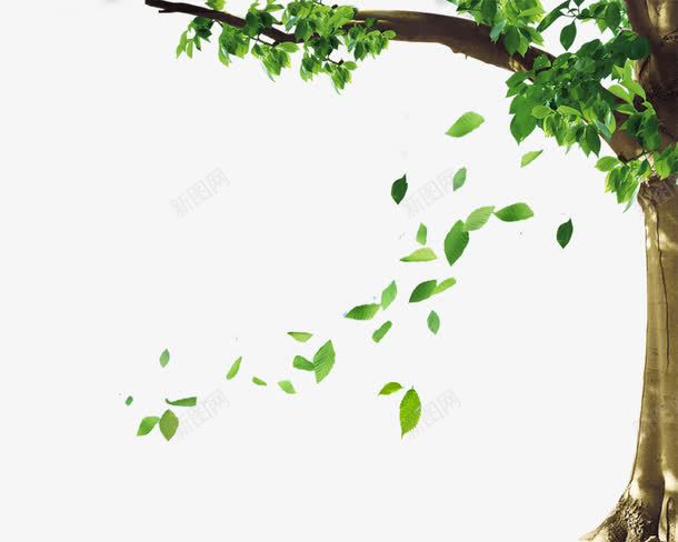 绿色树叶落叶png免抠素材_新图网 https://ixintu.com 免费抠图 创意 大风 简约 绿色 落叶 风吹树叶 风吹绿叶