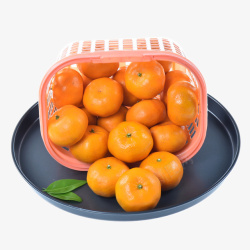 广东砂糖橘实物一篮子新鲜沙糖桔高清图片