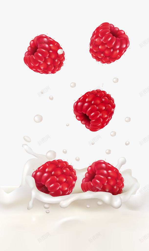 红色树莓牛奶png免抠素材_新图网 https://ixintu.com 卡通水果 液体 白色牛奶 红色树莓 背景装饰
