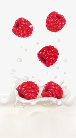 红色树莓牛奶素材