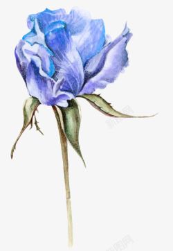 蓝色玫瑰花瓣素材
