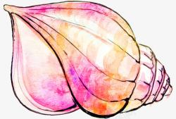 水粉画艺术橙色海螺壳高清图片
