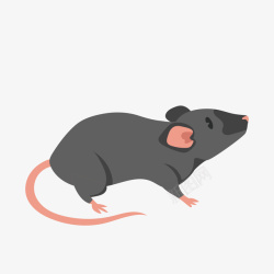 黑色老鼠长尾巴可爱小老鼠矢量图高清图片