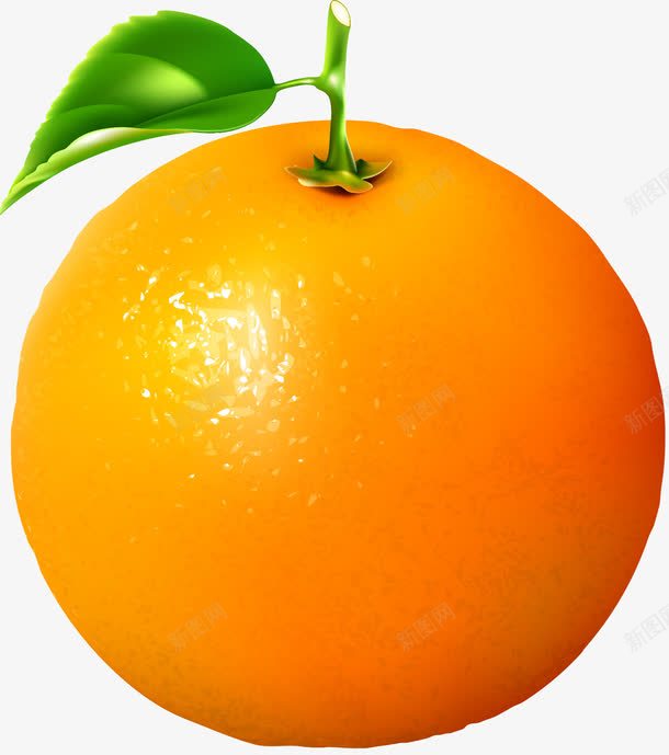 一个橙子png免抠素材_新图网 https://ixintu.com 一个 卡通 桔梗 橙子 水果 简图 绿色 黄色