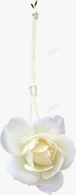 绳子吊起来的白色花朵植物素材
