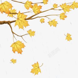 秋天黄叶秋叶背景装饰高清图片