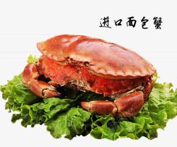 进口蟹腿肉进口面包蟹高清图片