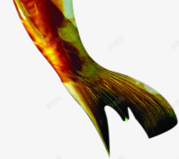 金色白斑的金鱼招聘png免抠素材_新图网 https://ixintu.com 图片 招聘 白斑 金色 金鱼