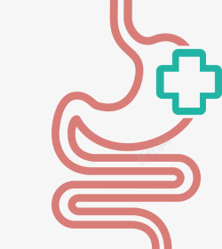 胃肠消化系统矢量图素材