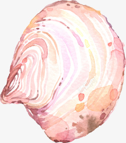 夏日饰品手绘水彩粉色贝壳高清图片
