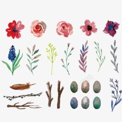 炫彩花朵素材水彩绘植物和鸟蛋自然元素高清图片