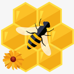 秋季滋补蜜蜂和蜂窝插画高清图片