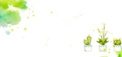 绿色墨痕水彩图案与盆里的花卉背景高清图片