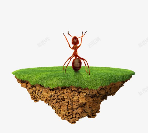 创意合成绿色的草地蚂蚁png免抠素材_新图网 https://ixintu.com 创意 合成 绿色 草地 蚂蚁