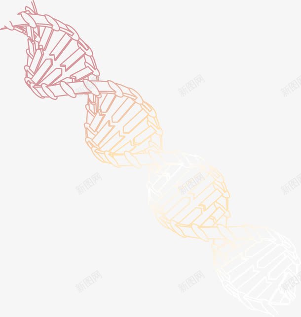 DNA基因螺旋背景png免抠素材_新图网 https://ixintu.com DNA 基因 螺旋线 螺旋背景