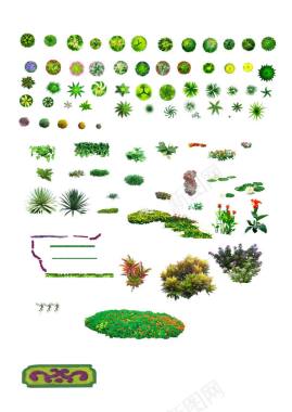 植物框框景观平面树图标图标