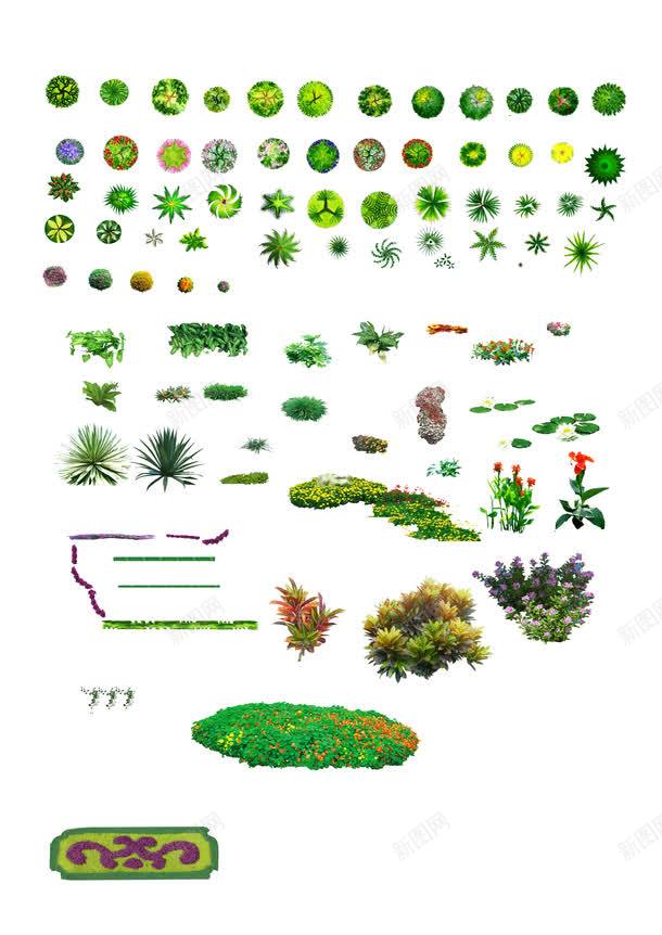 景观平面树图标png_新图网 https://ixintu.com 图标 抠图材料 景观平面树 植物 植物图标 草地 草坪