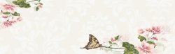 海报蝴蝶手绘中式花朵蝴蝶海报背景高清图片