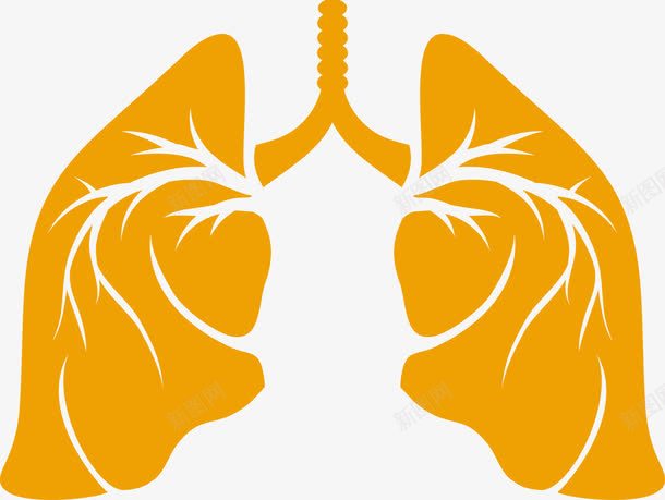 肺png免抠素材_新图网 https://ixintu.com 人体器官png图片免费下载 医疗应用素材 医院PPT素材 医院素材 器官 矢量人体肺素材免费下载 矢量肺 肺 肺素材