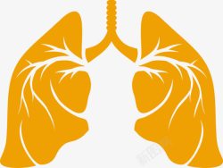 人体生物钟应用肺高清图片