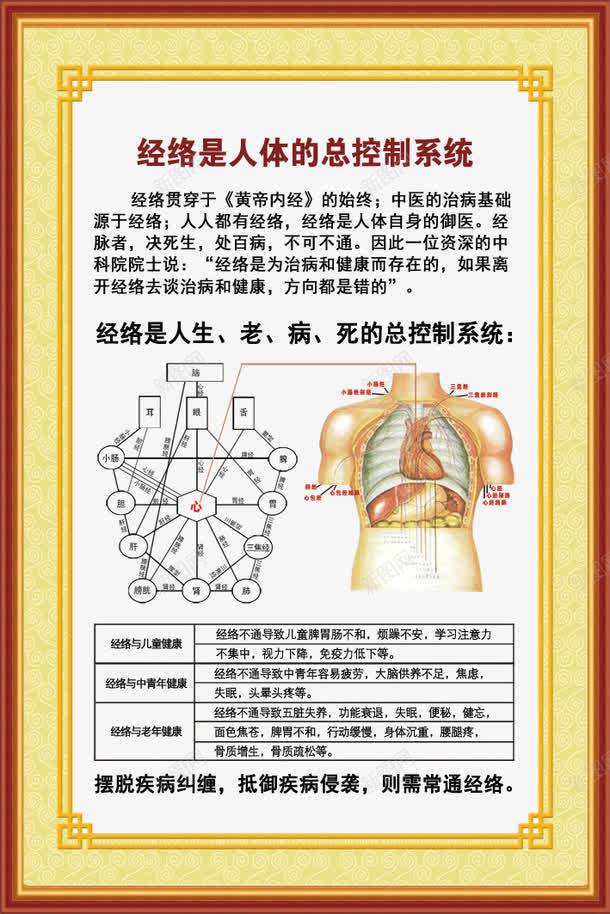 经络蛤体的总控制系统png_新图网 https://ixintu.com 中华文明 人体内脏 养生 十二 易声康 海报 相框 经络与疾病 经络图 经络蛤体的总控制系统 背部 黄帝内经