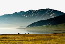 赛里木湖景点新疆风景赛里木湖高清图片