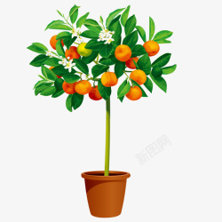 盆栽橘子树扁平绿色橘子树矢量图高清图片