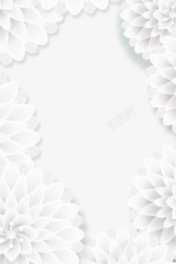 美丽框架白色美丽花朵框架高清图片
