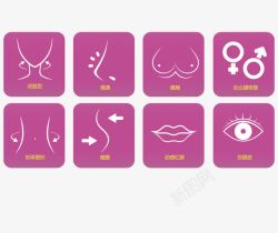 面部微整各种整形图标矢量图高清图片