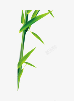 春天绿色竹子竹叶简约素材