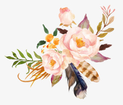 水彩花朵标题框水彩植物花卉花朵羽毛装饰高清图片
