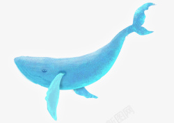 手绘水彩装饰插画海洋生物鲸鱼插素材