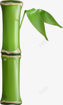一节竹子绿色竹子竹叶高清图片
